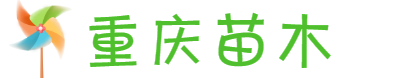 致力为重庆人打造高端耍耍点评网
